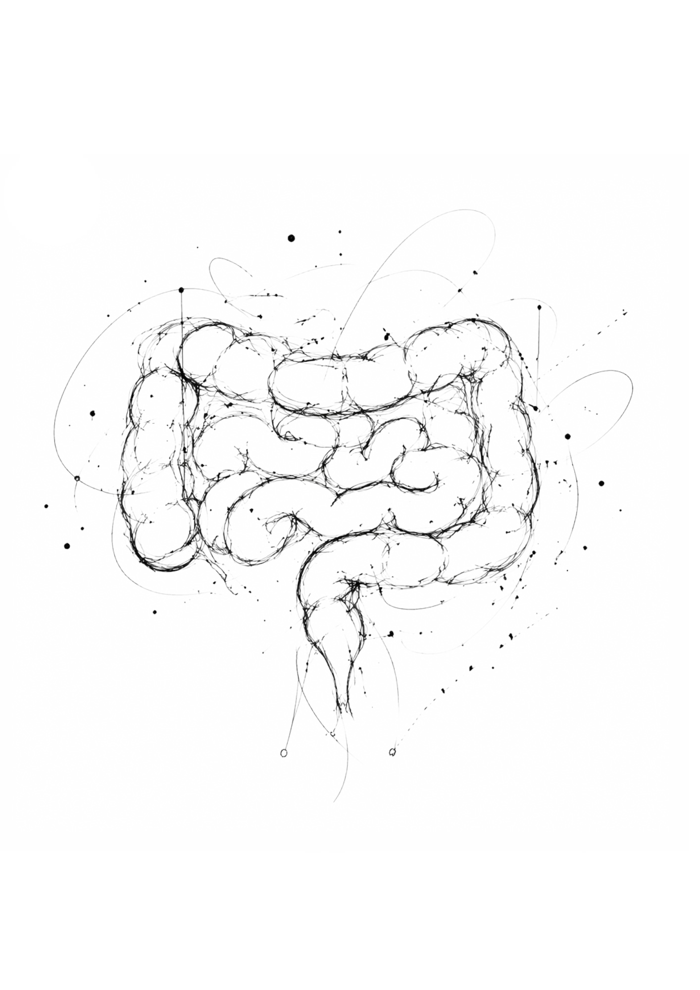 Illustration intestins — Santé digestive